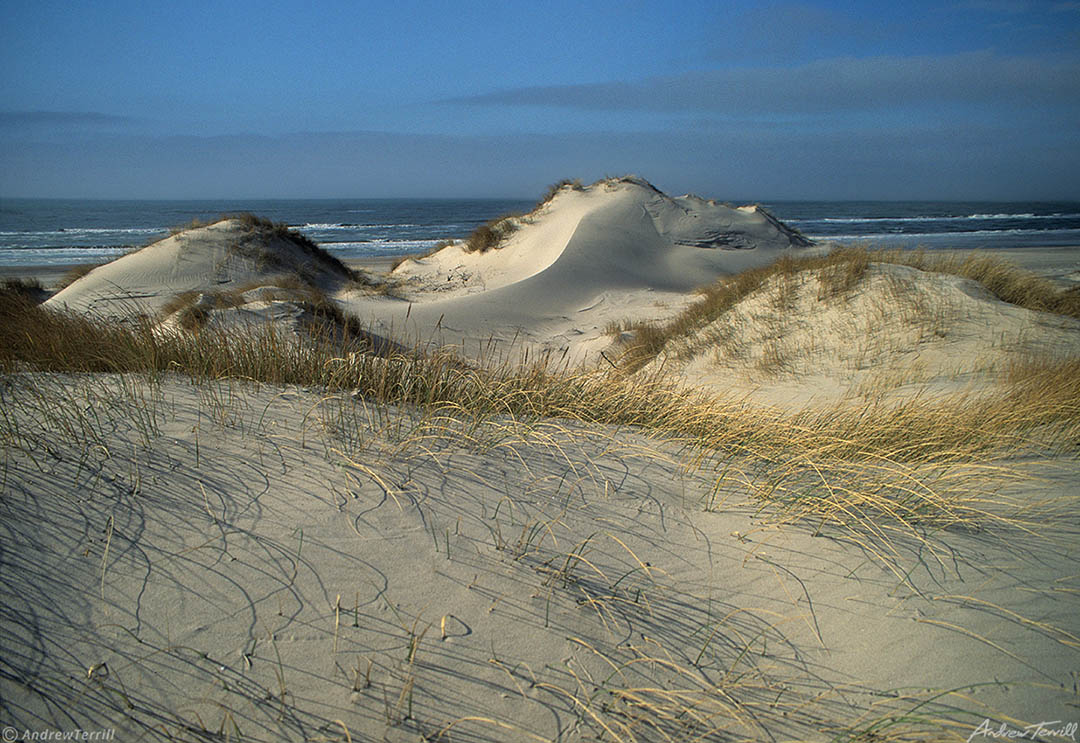 denmark dunes north sea