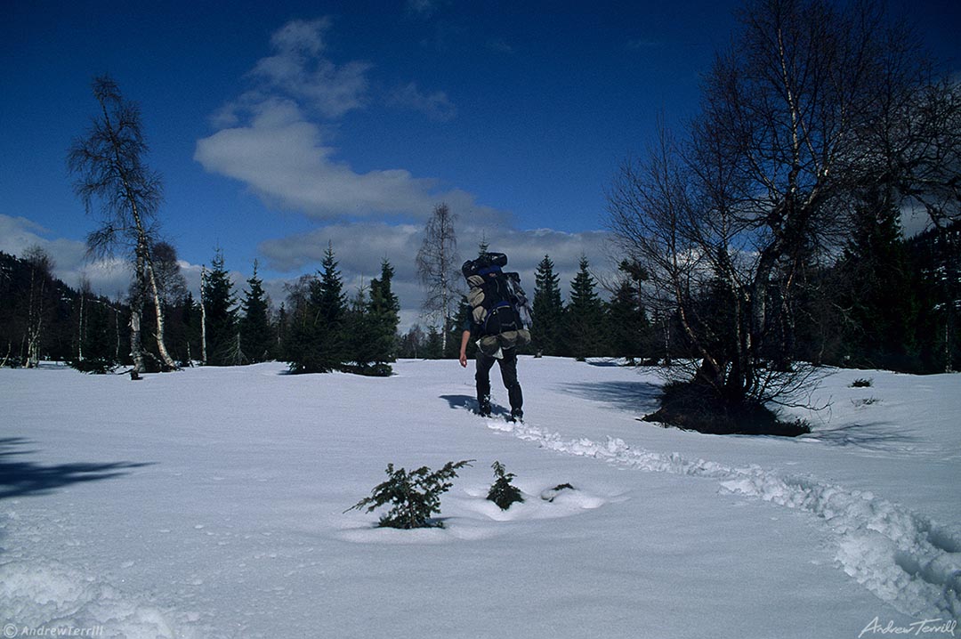 snowshoeing into the mountains norway