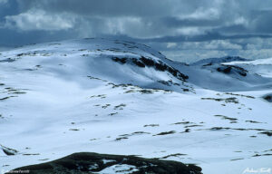 snow shoe tracks fjells norway