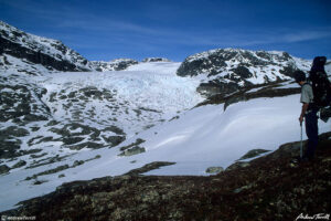 hardangervidda norway glacier