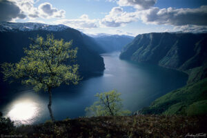 aurlandsfjord norway evening