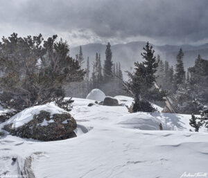 igloo in forest with spindrift march 27 2023