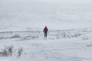 002 mountaineer heading towards mount bierstadt in wild winter weather snow colorado