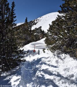 building an igloo -March 18 2023