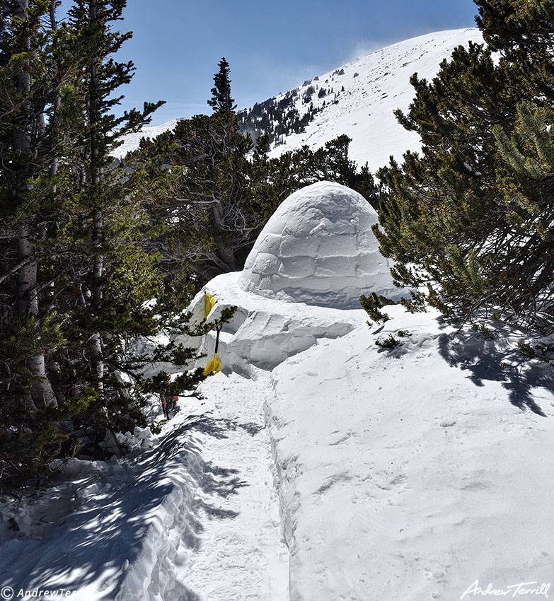 walkway to the igloo march 19 2023