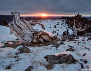 sunrise across the plains bristlecone pine march 20 2023