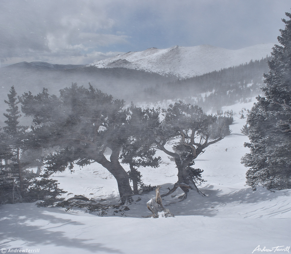 spindrift at treeline march 27 2023