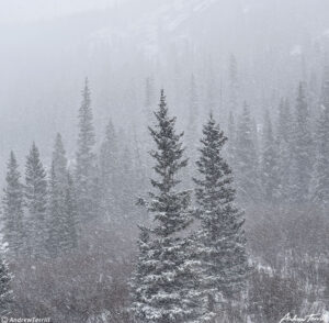 snowstorm colorado april 14 2023