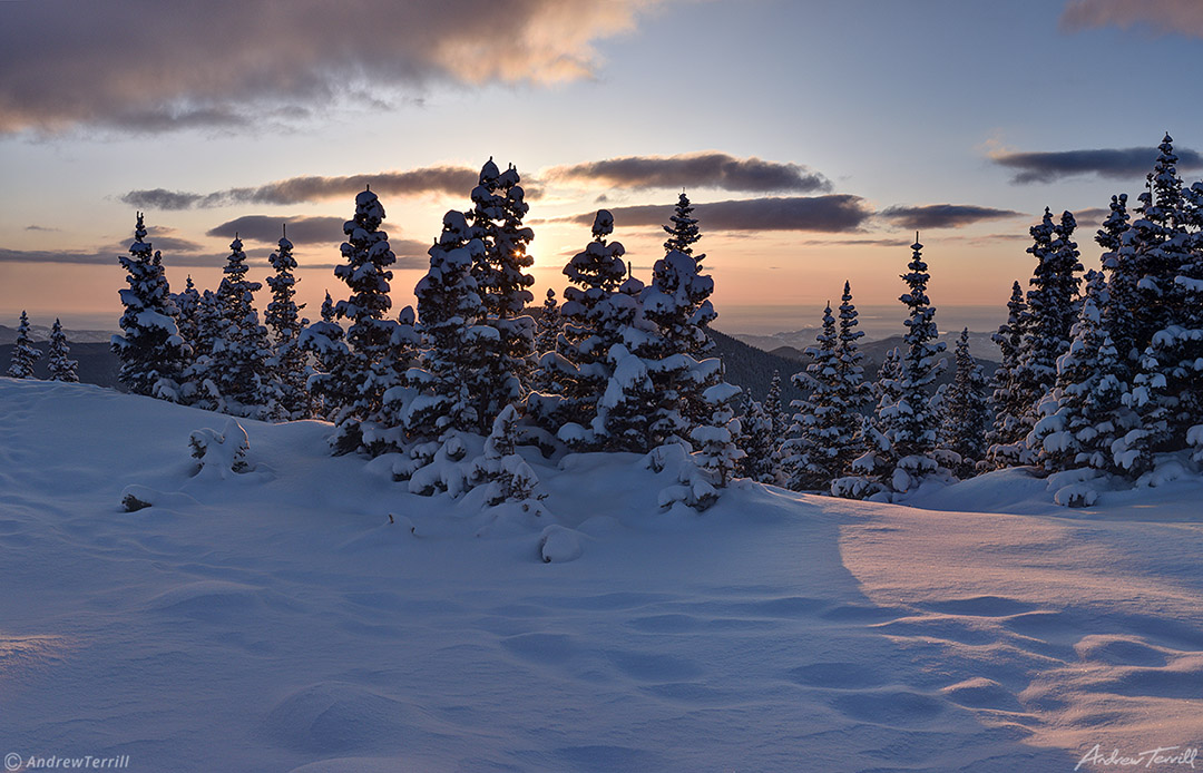 sunrise through snow covered pines 23 april 2023