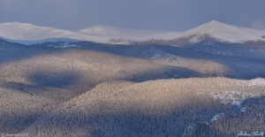 sunlight shadows winter forest snow colorado 23 april 2023