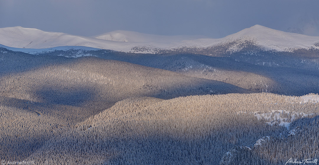 sunlight shadows winter forest snow colorado 23 april 2023