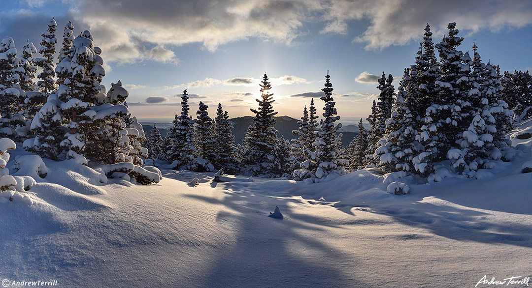 winter morning snow pines colorado 23 april 2023