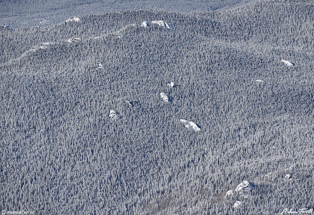 tors in the forest colorado 23 april 2023