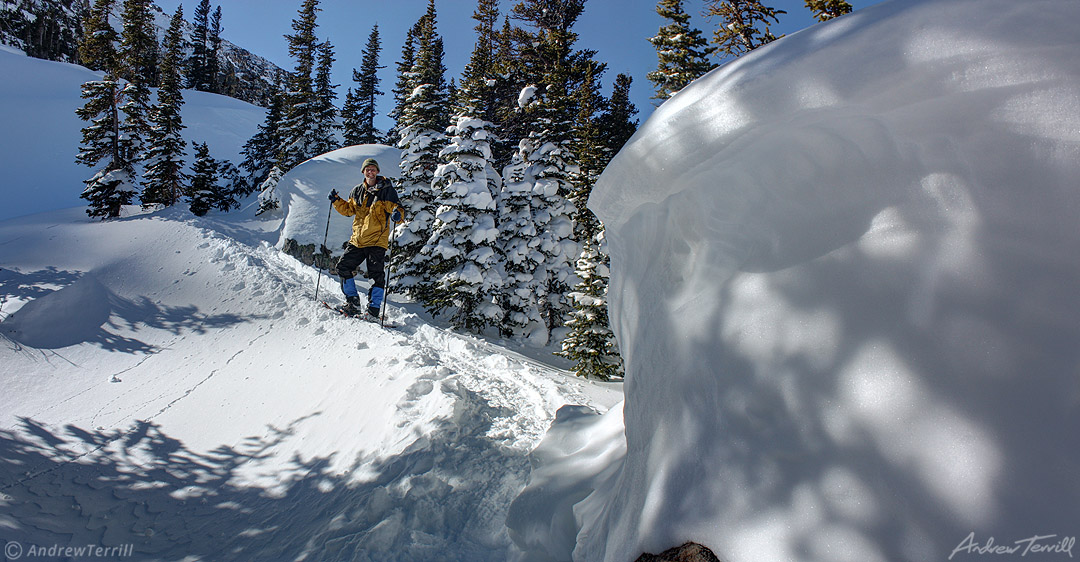 andrew terrill in winter 2016