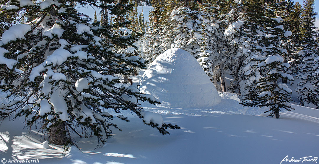 igloo in winter forest colorado