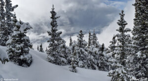 clearing winter storm and snowy forest colorado