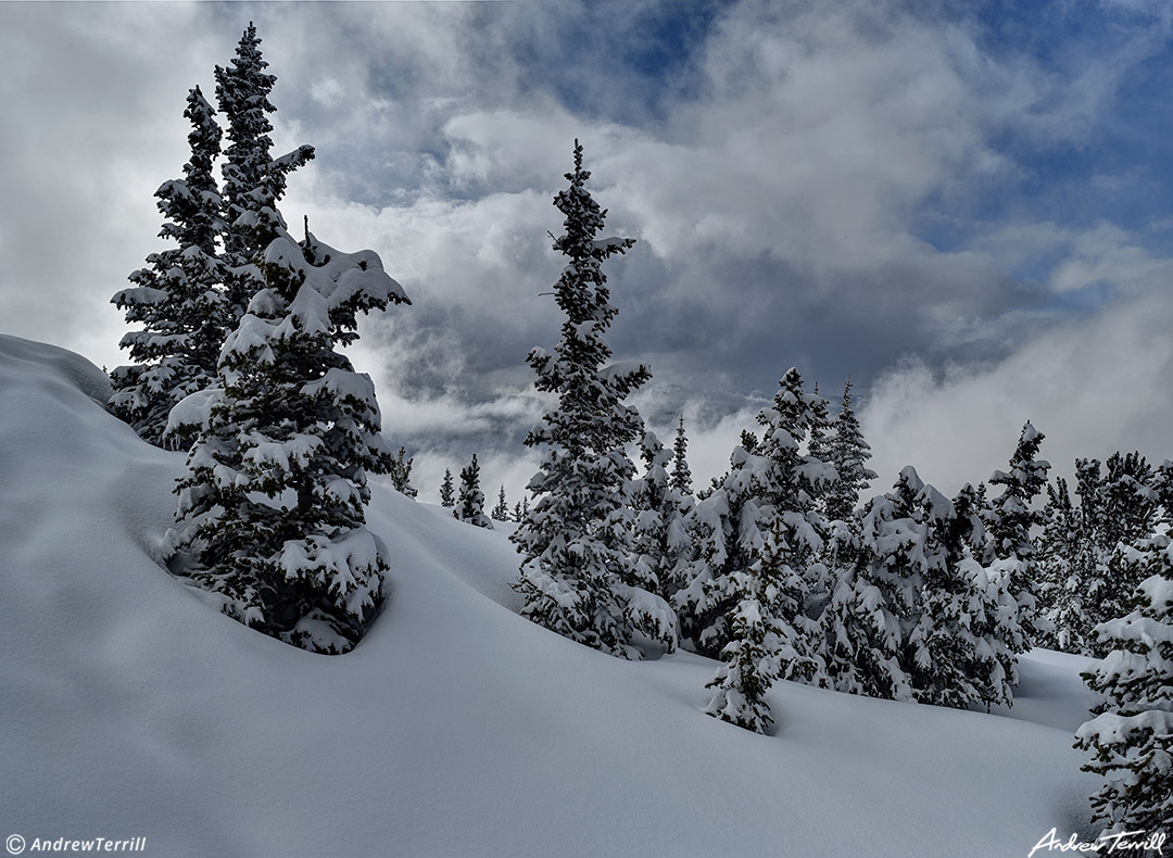 clearing winter storm and snowy forest colorado