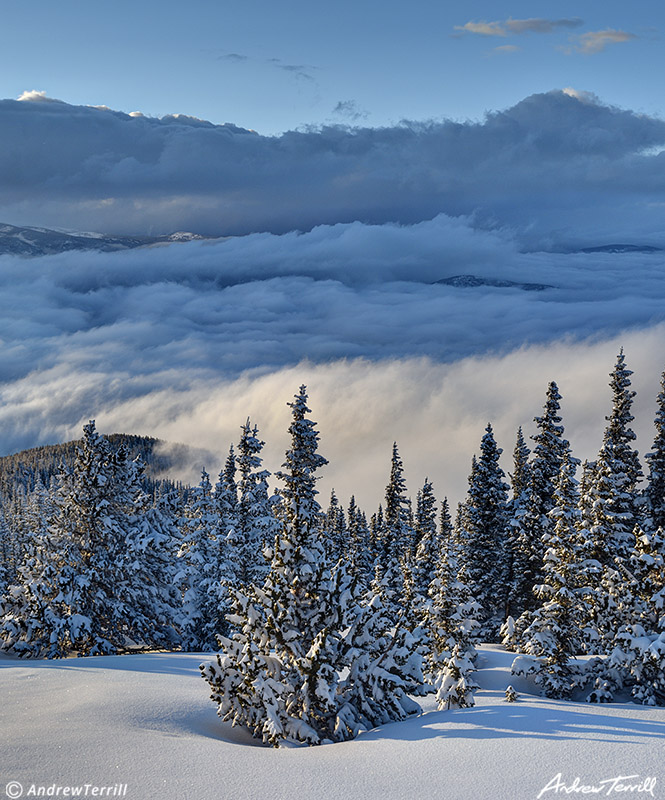 snowy forest and mountains above the clouds in colorado at sunset