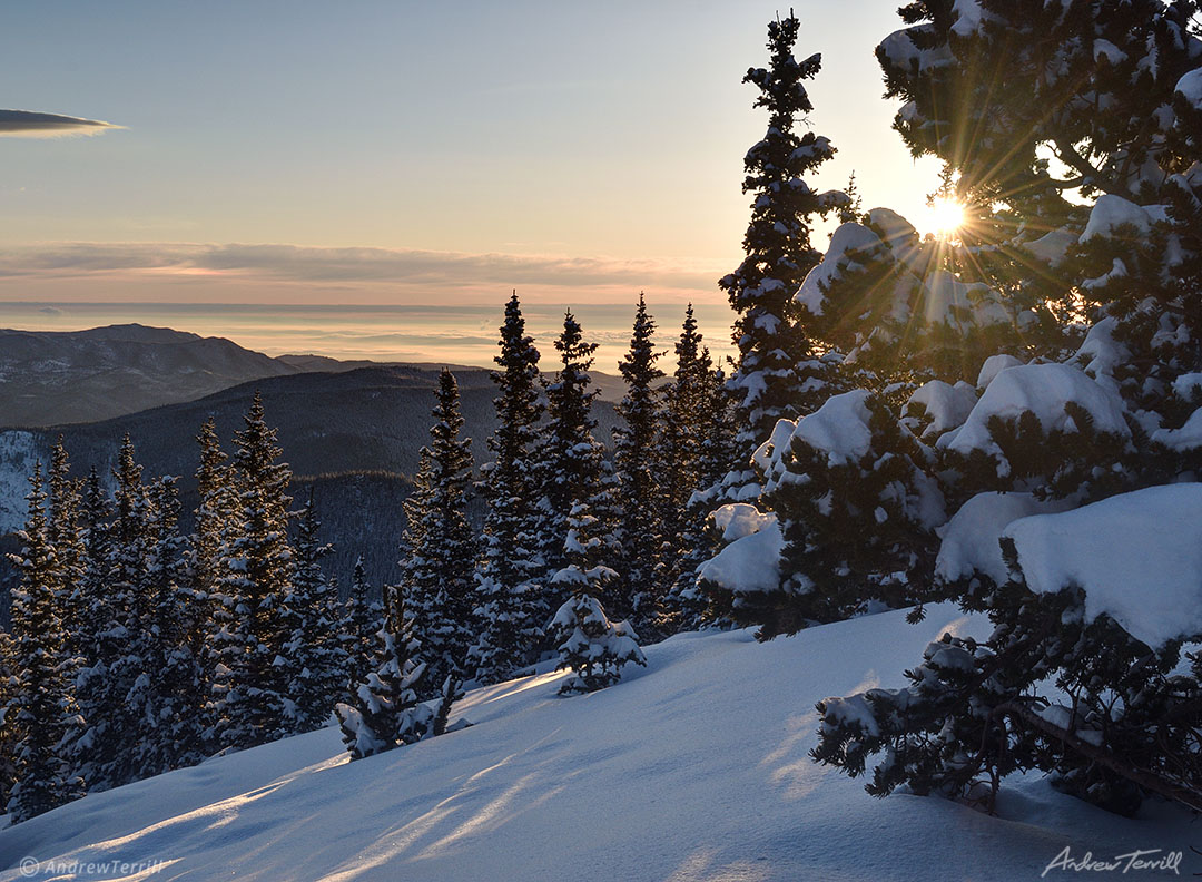 Winter sunrise with sunbeams and rays of light through snow covered pine trees