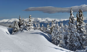 Colorado Front Range Continental Divide and snow covered pine trees