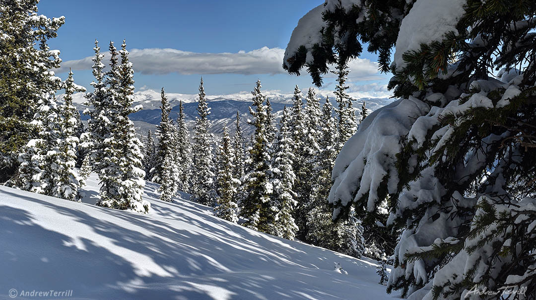 winter forest and mountains in colorado in deep snow front range