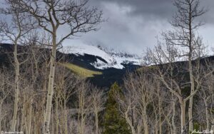 Hells Hole and Gray Wolf Mountain May 12 2023