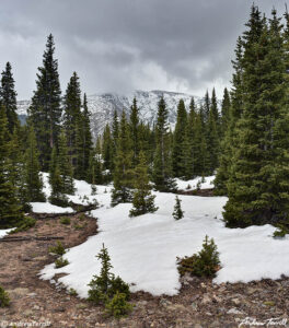 gray wolf mountain - hells hole - 20 May 2023