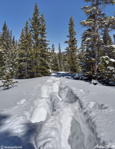 snow shoe trail hells hole 6 april 2023