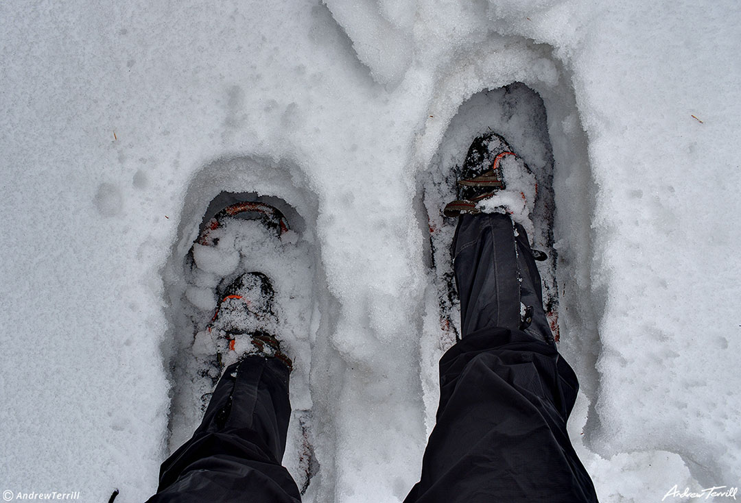 snowshoe tracks - hells hole - 20 May 2023