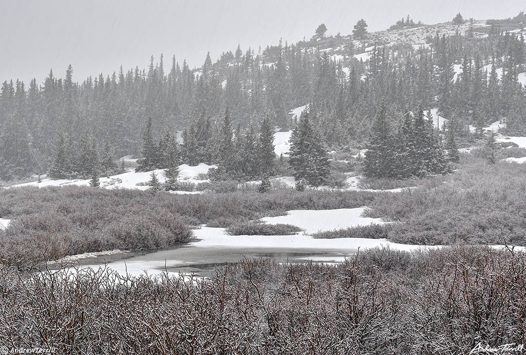 snowstorm - hells hole - 20 May 2023