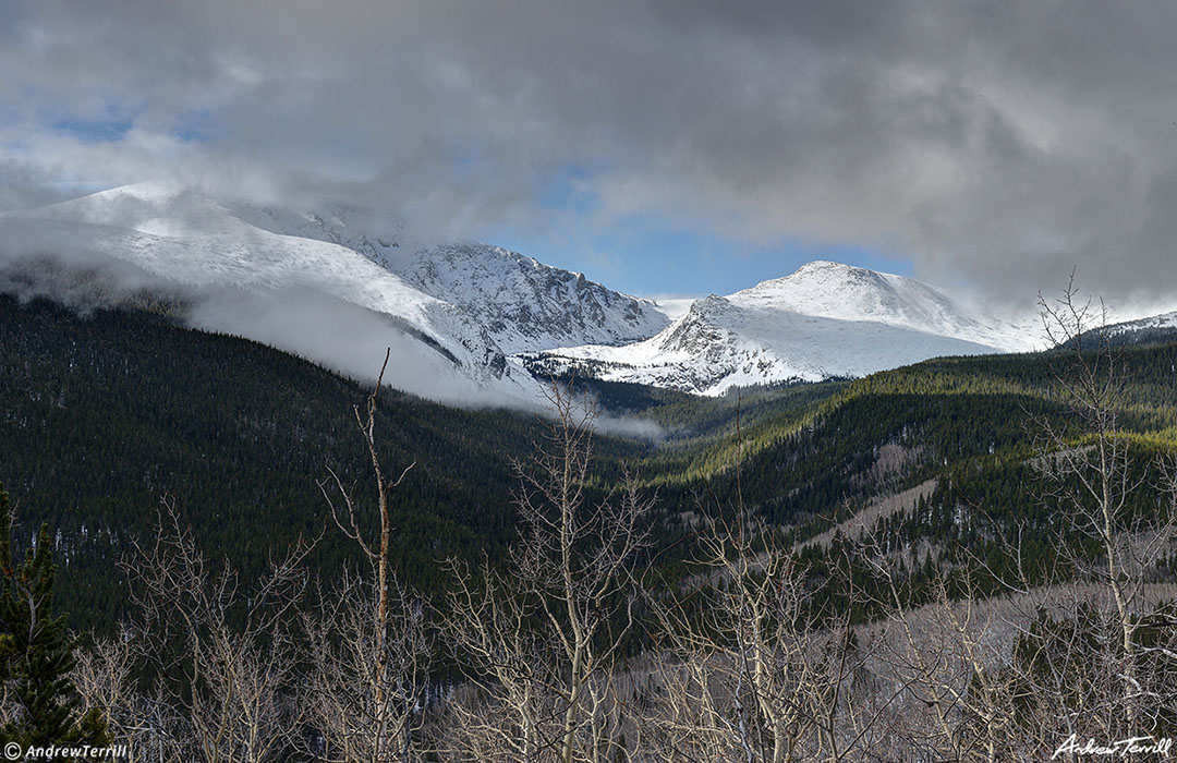 Aspen wood and mist Hells Hole Gray Wolf Mountain May 13 2023