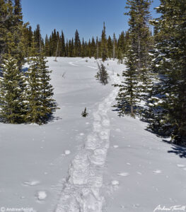 snowshoe tracks near Hells Hole 6 april 2023