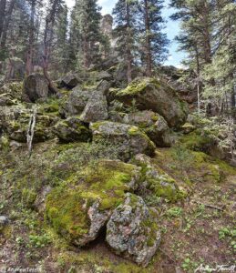 three mile creek canyon mossy boulders 18 june 2023