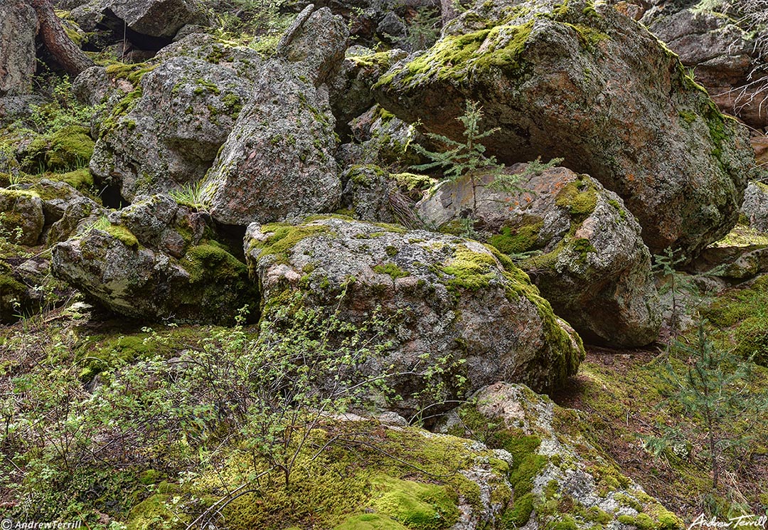 web 003 three mile creek canyon mossy boulders 18 june 2023