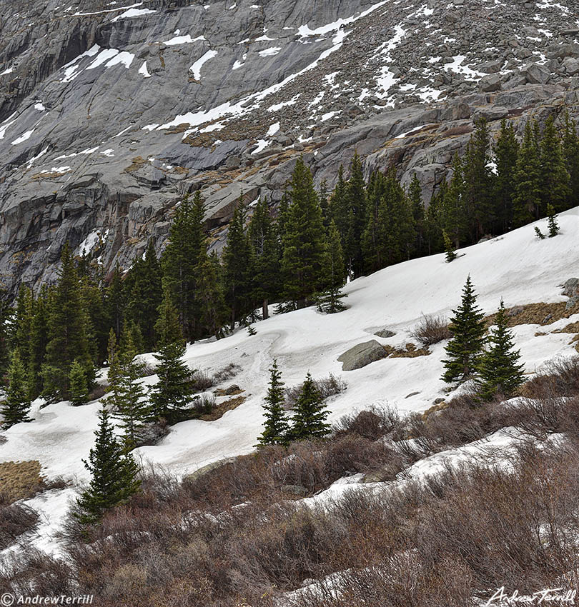 chicago lakes trail snowline 15 june 2023