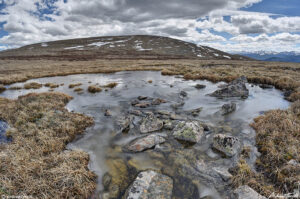 tundra mount logan colorado 18 june 2023