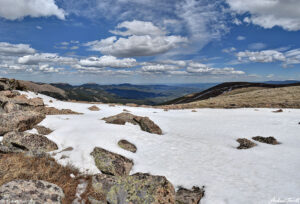 tundra mount logan looking east colorado 18 june 2023