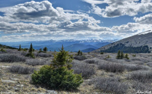 Mount Evans Wilderness Colorado 18 june 2023