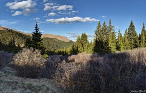 evening light colorado 18 june 2023