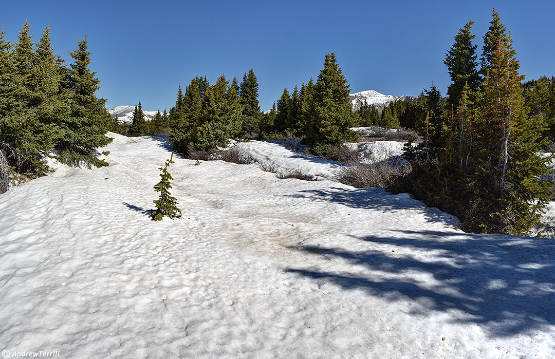  spring snowpack colorado 19 june 2023