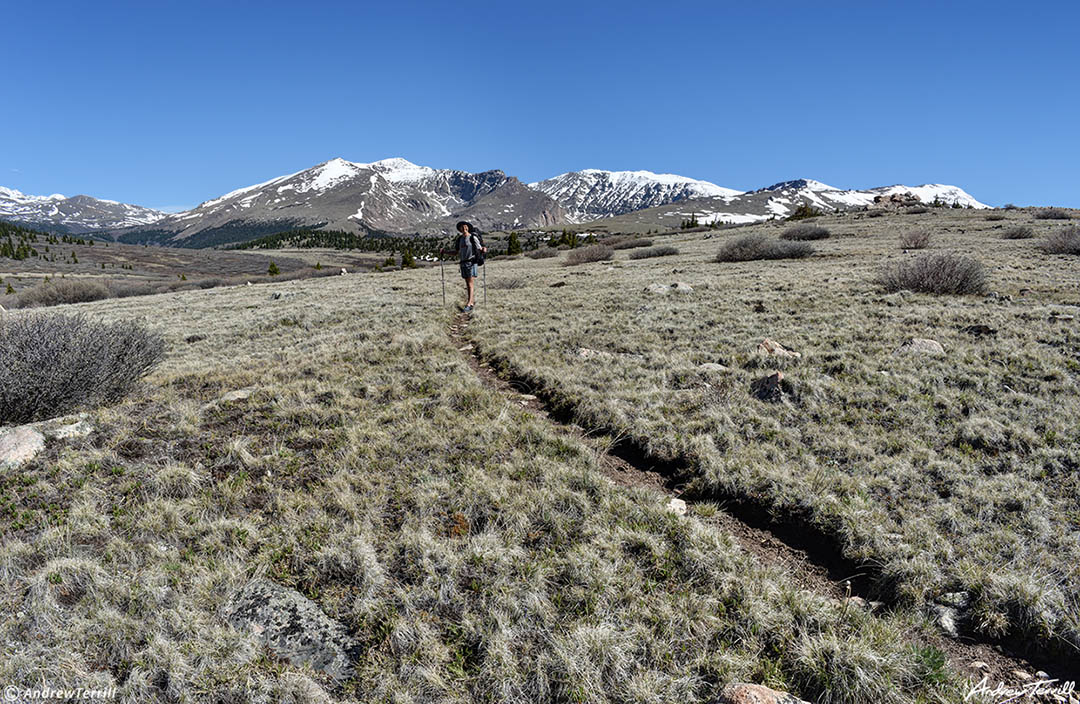 mount evans wilderness immense space colorado 19 june 2023