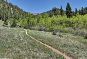 three mile creek path colorado 19 june 2023