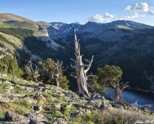 Chicago Creek Valley 2nd july 2023