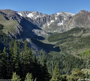 morning Chicago Creek Valley 3rd july 2023