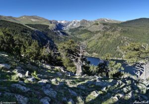 morning Chicago Creek Valley 3rd july 2023