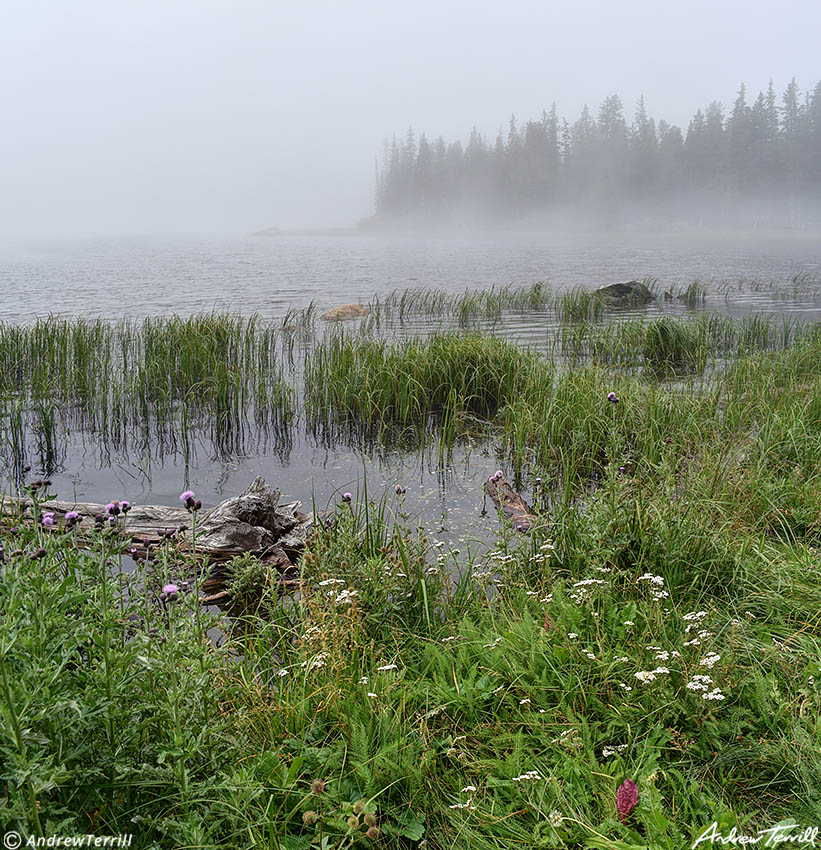 Echo Lake in mist 26 Aug 2023