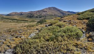 Geneva Mountain Mount Bierstadt Guanella Pass 22 Sept 2023