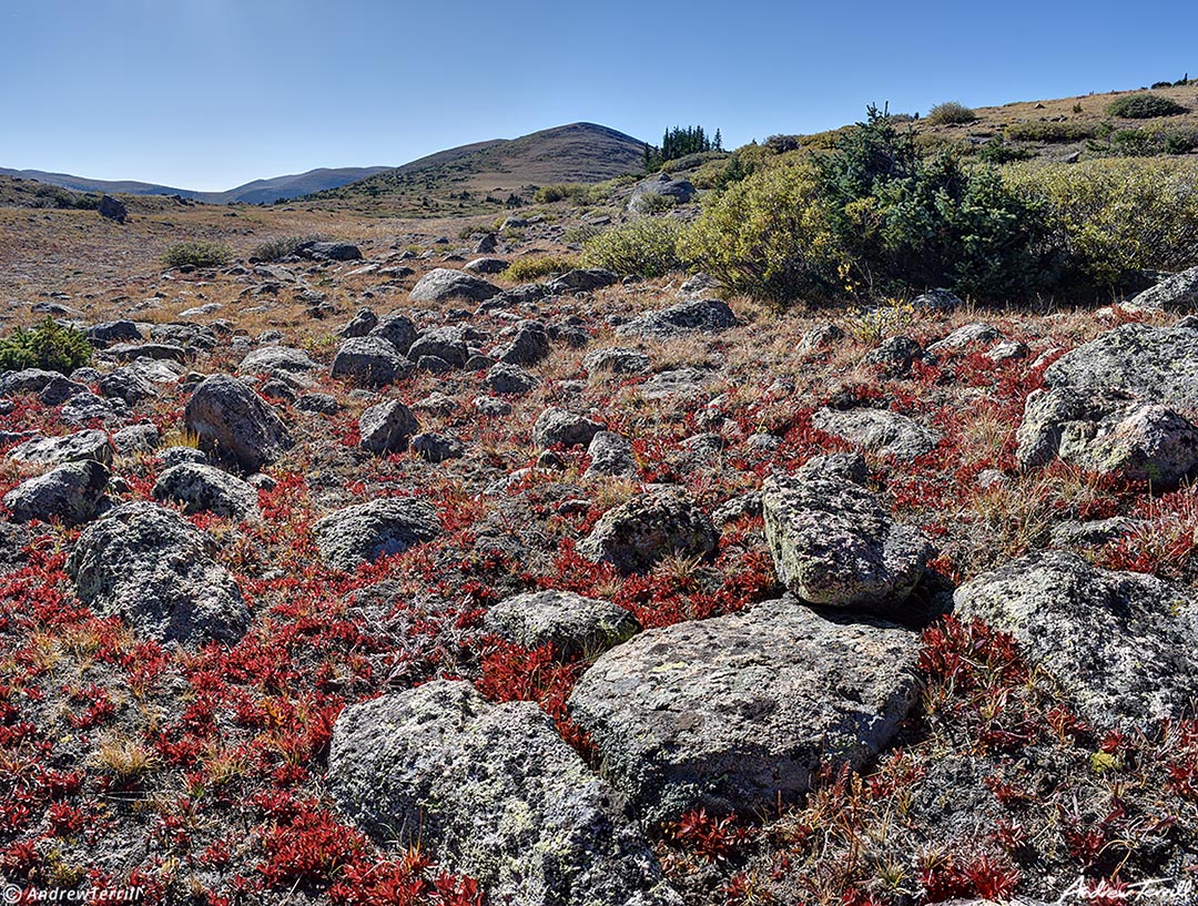 Tundra Geneva Mountain Guanella Pass 22 Sept 2023