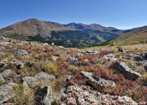 Geneva Mountain Mount Bierstadt Mount Blue Sky Guanella Pass 22 Sept 2023