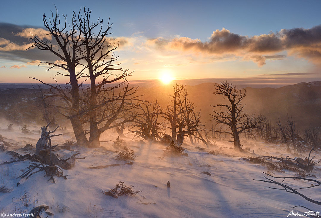 sunrise resthouse meadows january 16 2023